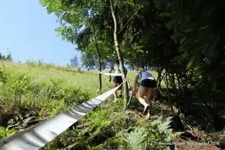 13568801_396531500517429_8502195034514455631_o