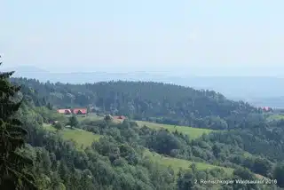 13568979_396533417183904_6337228213739635562_o