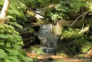 13603468_396533217183924_3384796096468931862_o