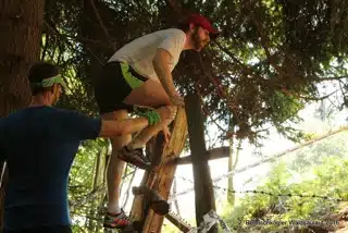 13613365_396532110517368_7392815731270797707_o