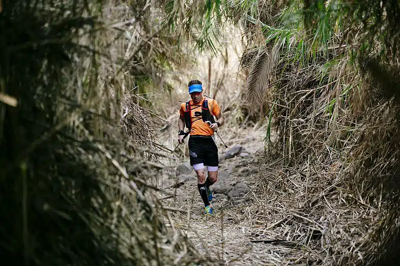 2a5ff3_cecb1026bd3545ac96c06f91fed05b90~mv2