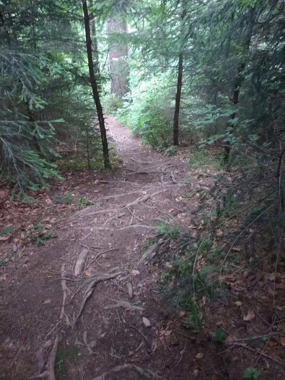 IMG_20170617_094129370