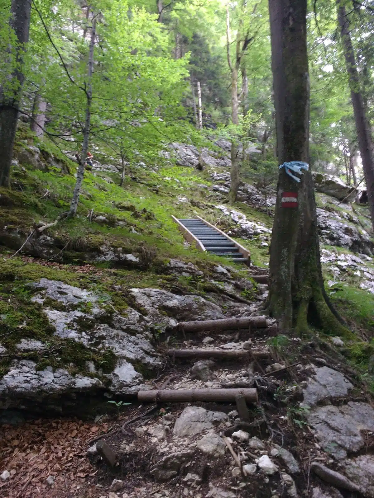 IMG_20170617_101915700