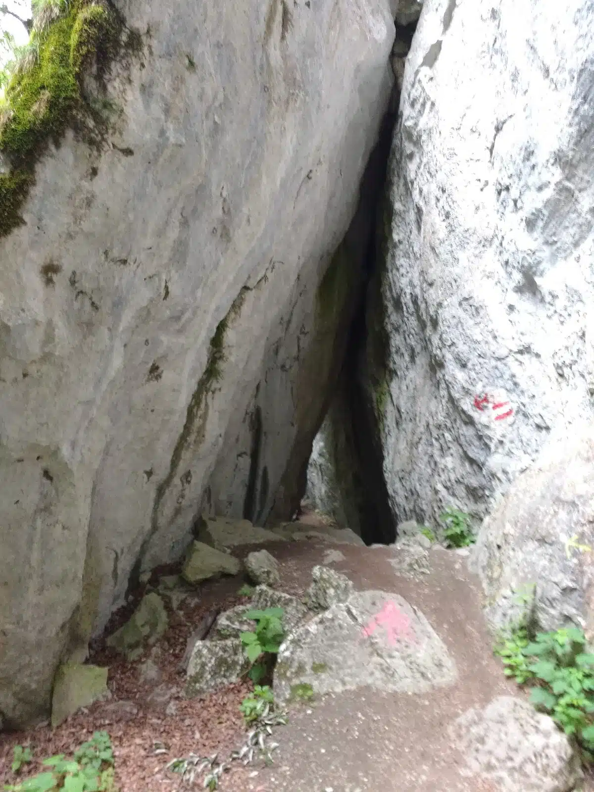 IMG_20170617_103146253