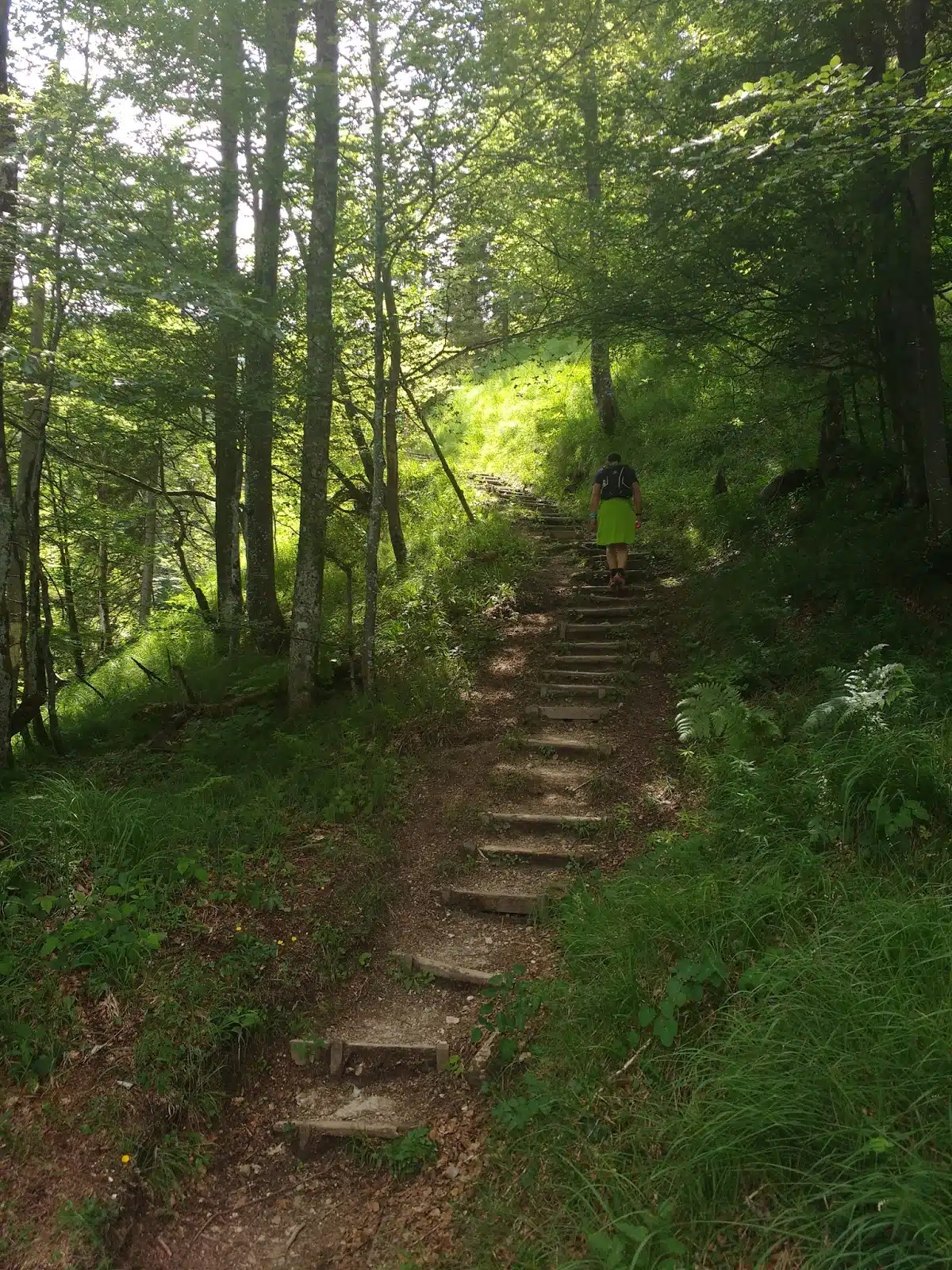 IMG_20170617_140619636